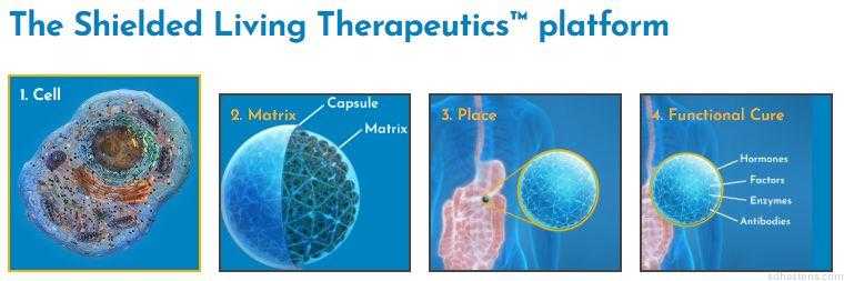 Shielded Living Therapeutics平台（图片来源：Sigilon Therapeutics官方网站）